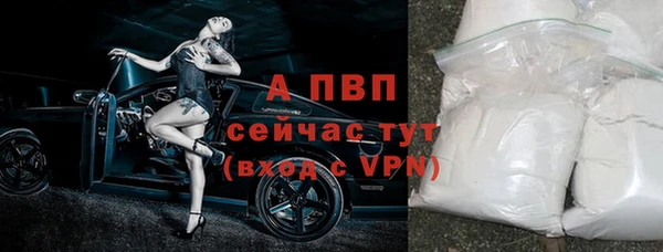 прущие крисы Няндома