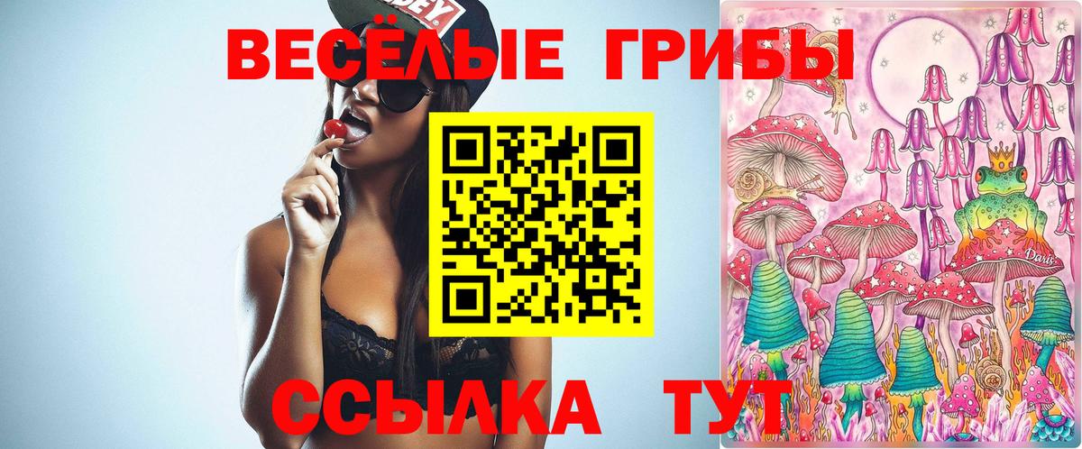 Псилоцибиновые грибы MAGIC MUSHROOMS Пенза