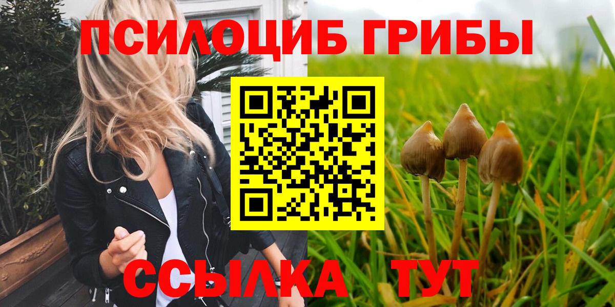 где можно купить наркотик  Вход с VPN  Галлюциногенные грибы GOLDEN TEACHER  Пенза  Псилоцибиновые грибы мухоморы 