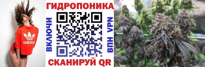 omg ССЫЛКА  Пенза  Каннабис конопля 